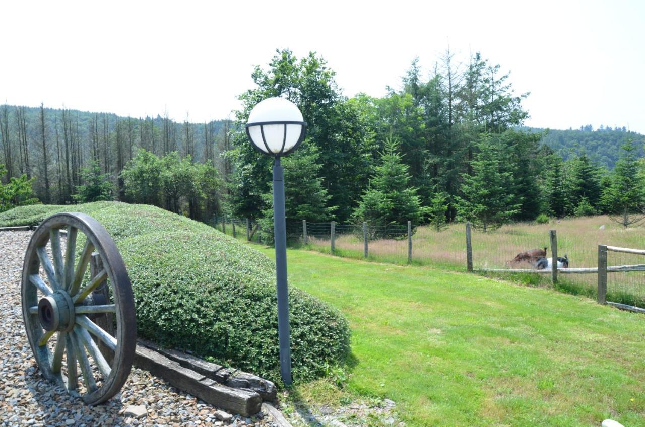 Chalet "Le Bucheron" La-Roche-en-Ardenne Kültér fotó