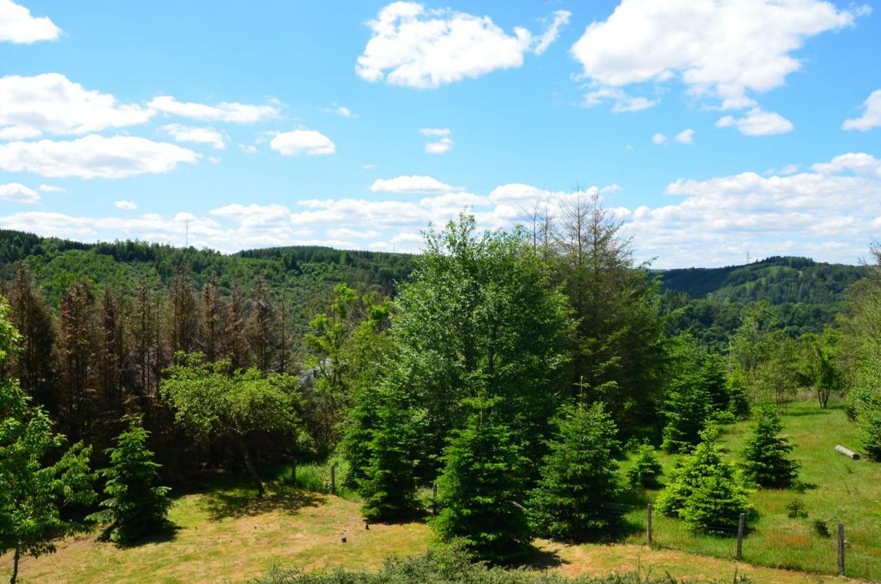 Chalet "Le Bucheron" La-Roche-en-Ardenne Kültér fotó